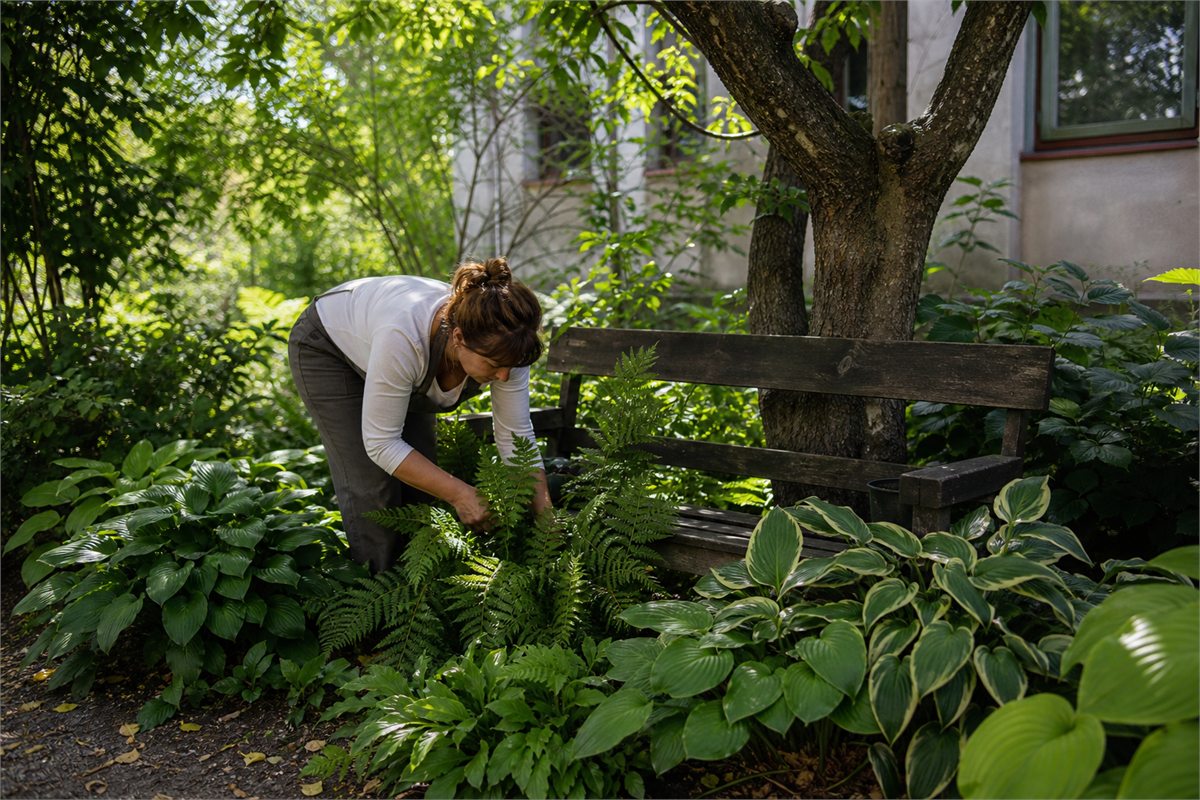 O femeie îngrijește plantele dintr-un colț umbros al curții